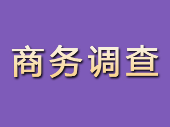 文登商务调查